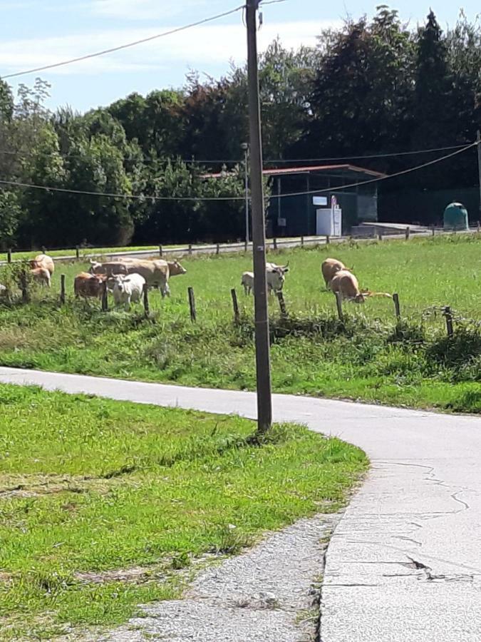 סן סבסטיאן Casa Rural Irigoien חדר תמונה